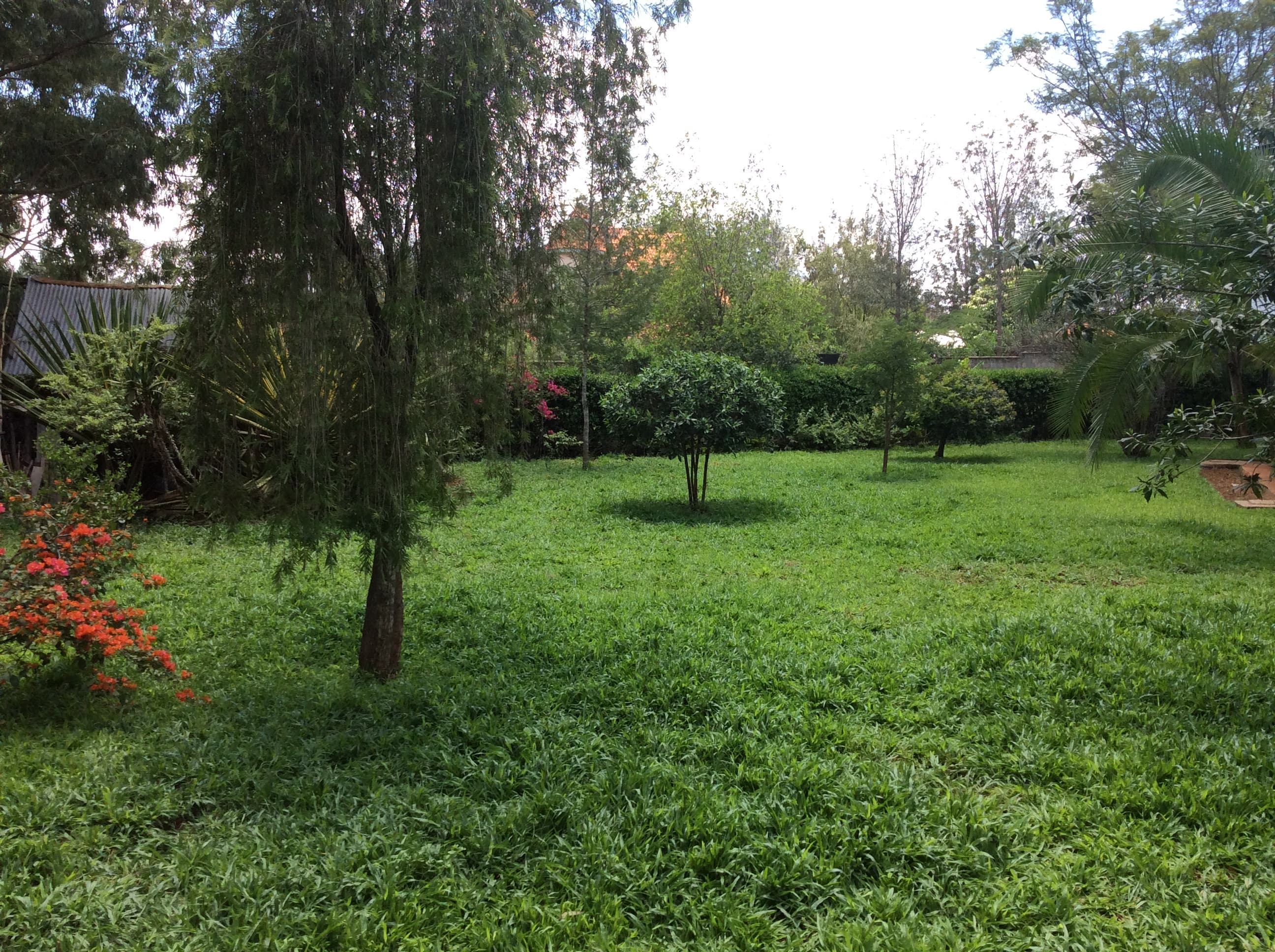 Acacia Rustic Cottage in Langata, Nairobi