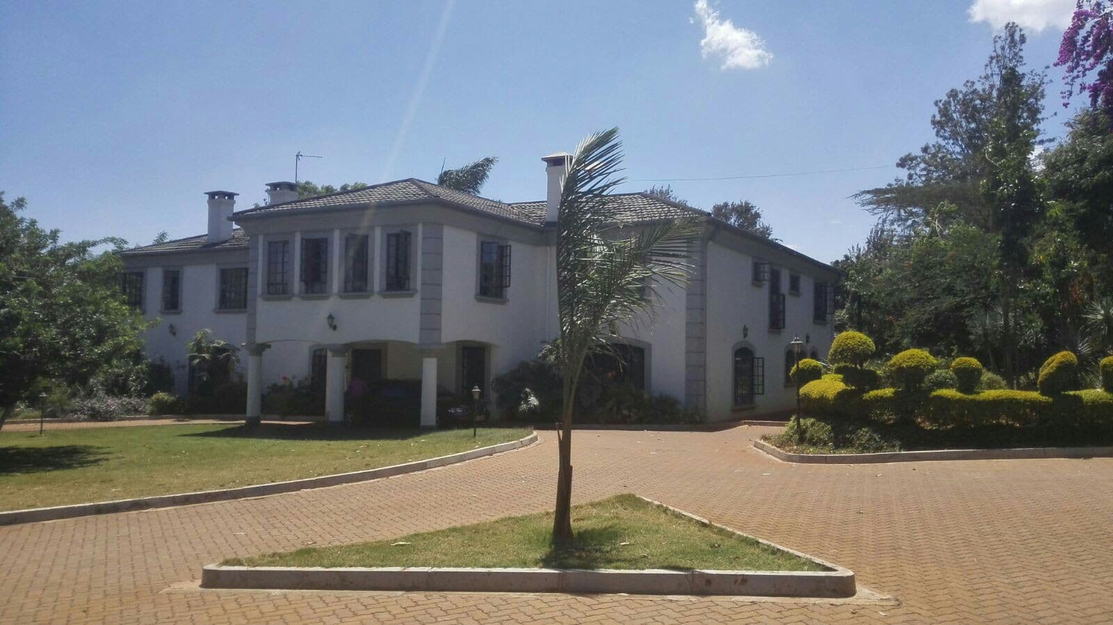 A chorus of birds, a beautiful garden and a Studio in Starehe, Nairobi