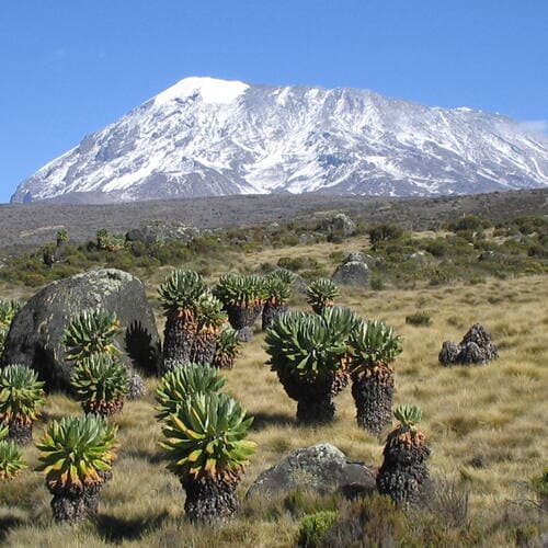 Kilimanjaro National Park in United Republic Of Tanzania, Tanzania