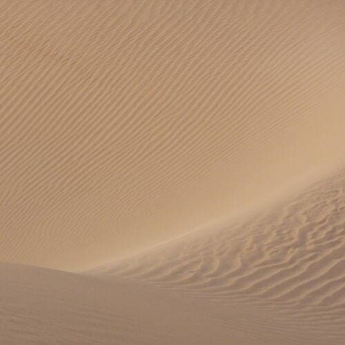 Banc d'Arguin National Park in Mauritania