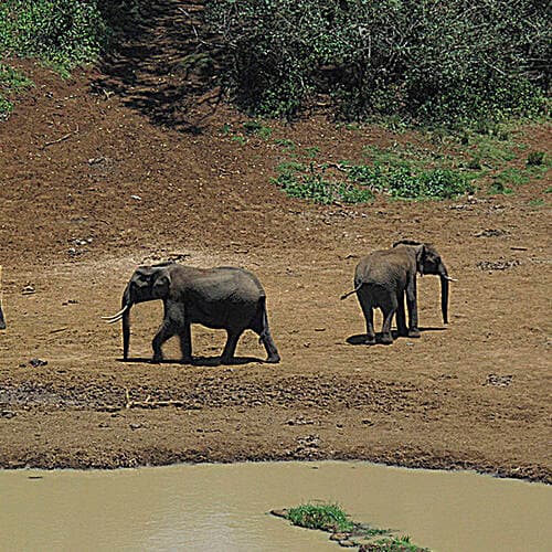 Mount Kenya National Park/Natural Forest in Kenya, Kenya
