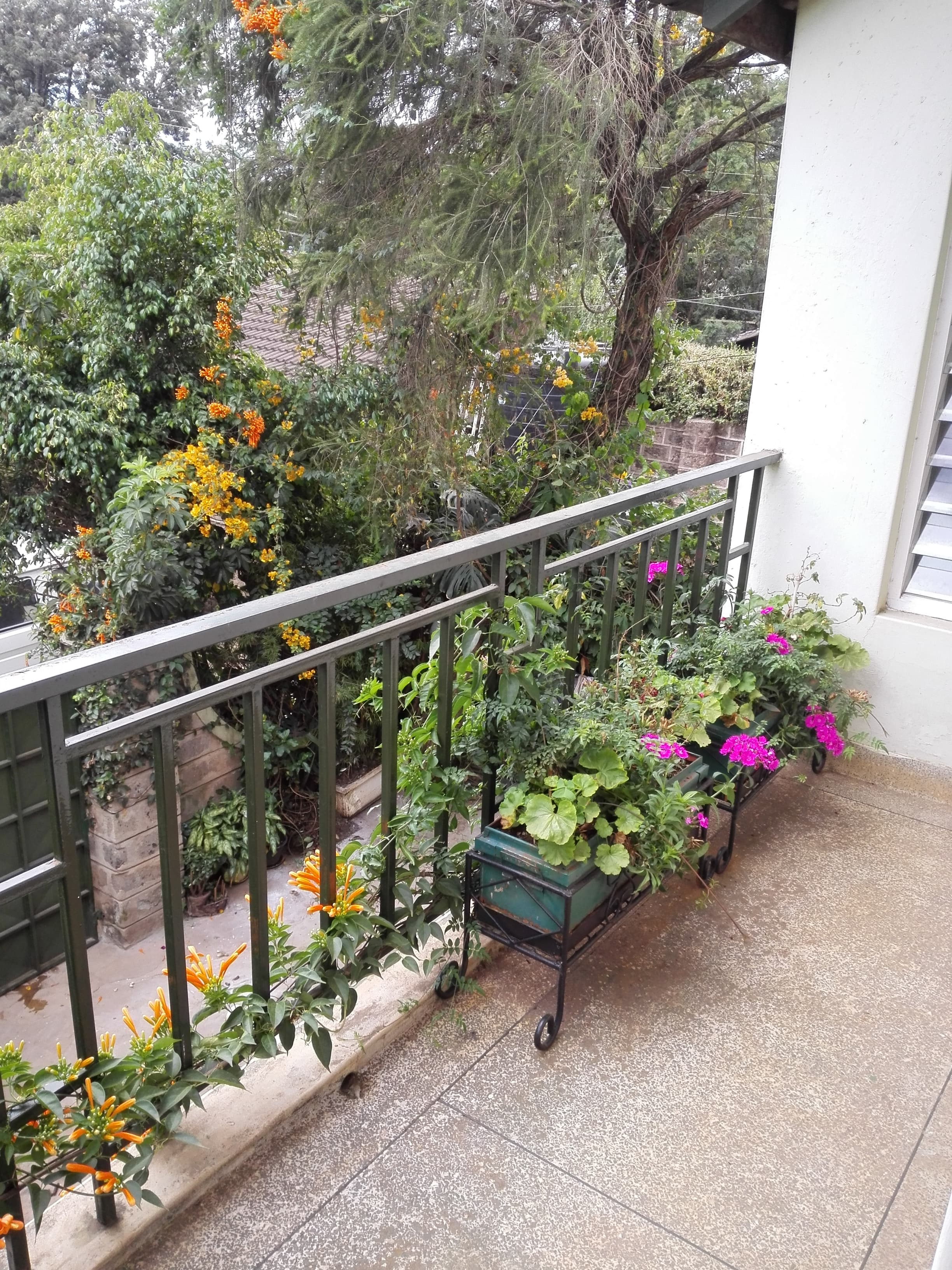 Samawati - Breakfast, lush garden, strong Wi-FI in Kibra, Nairobi