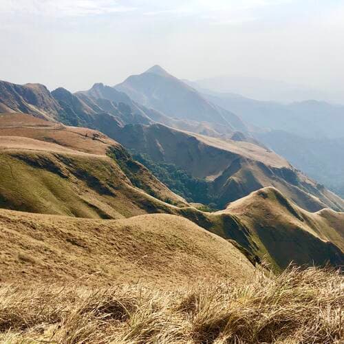 Mount Nimba Strict Nature Reserve in CôTe D'Ivoire, Guinea
