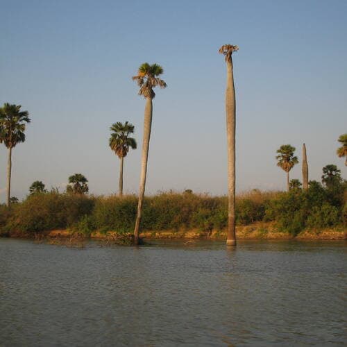 Selous Game Reserve in United Republic Of Tanzania, Tanzania